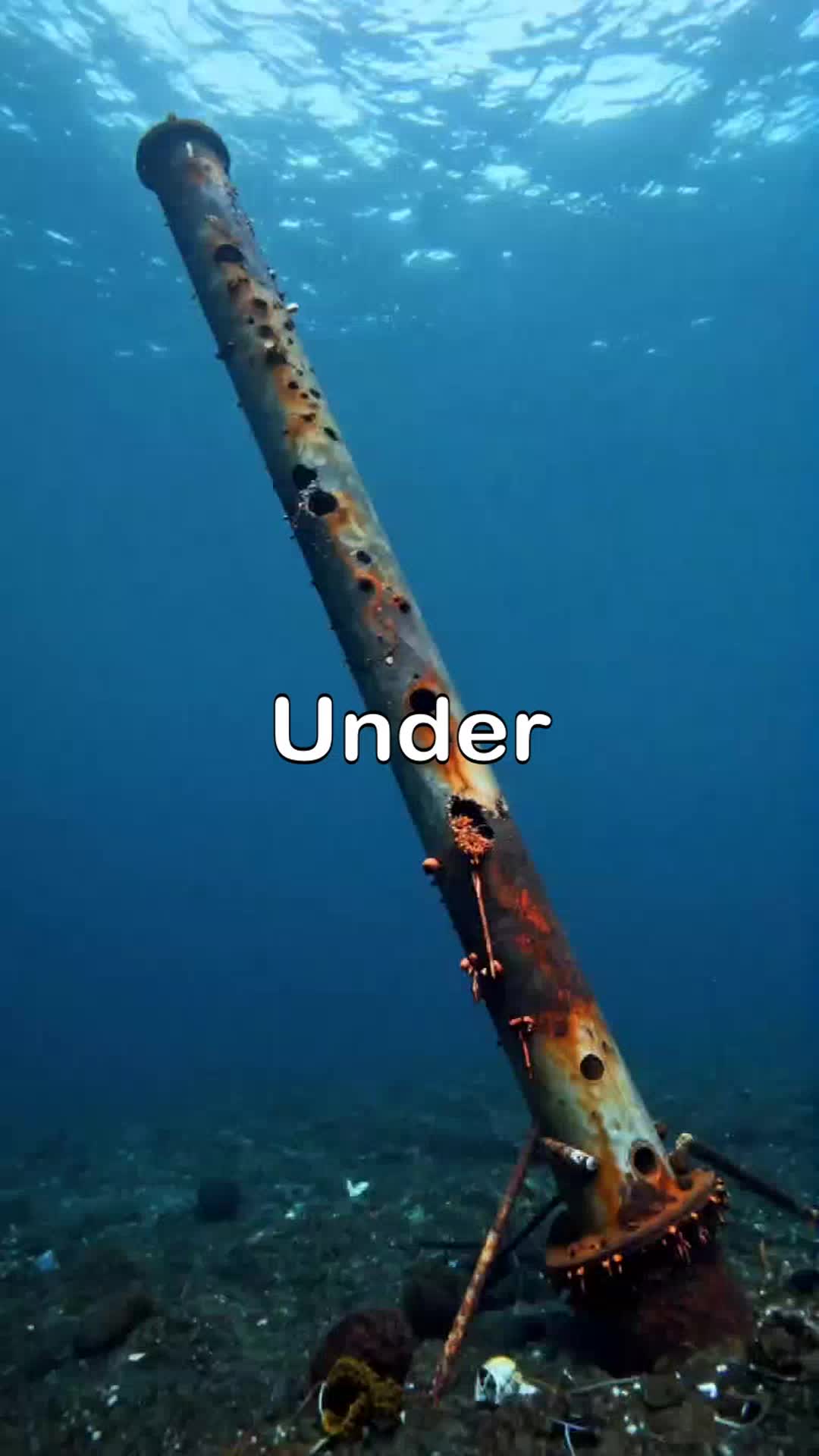 @Ships life's