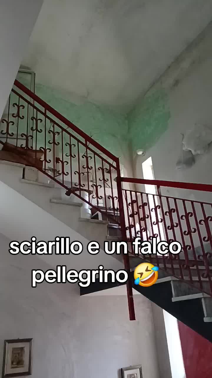 @Leonardo Dellacorte