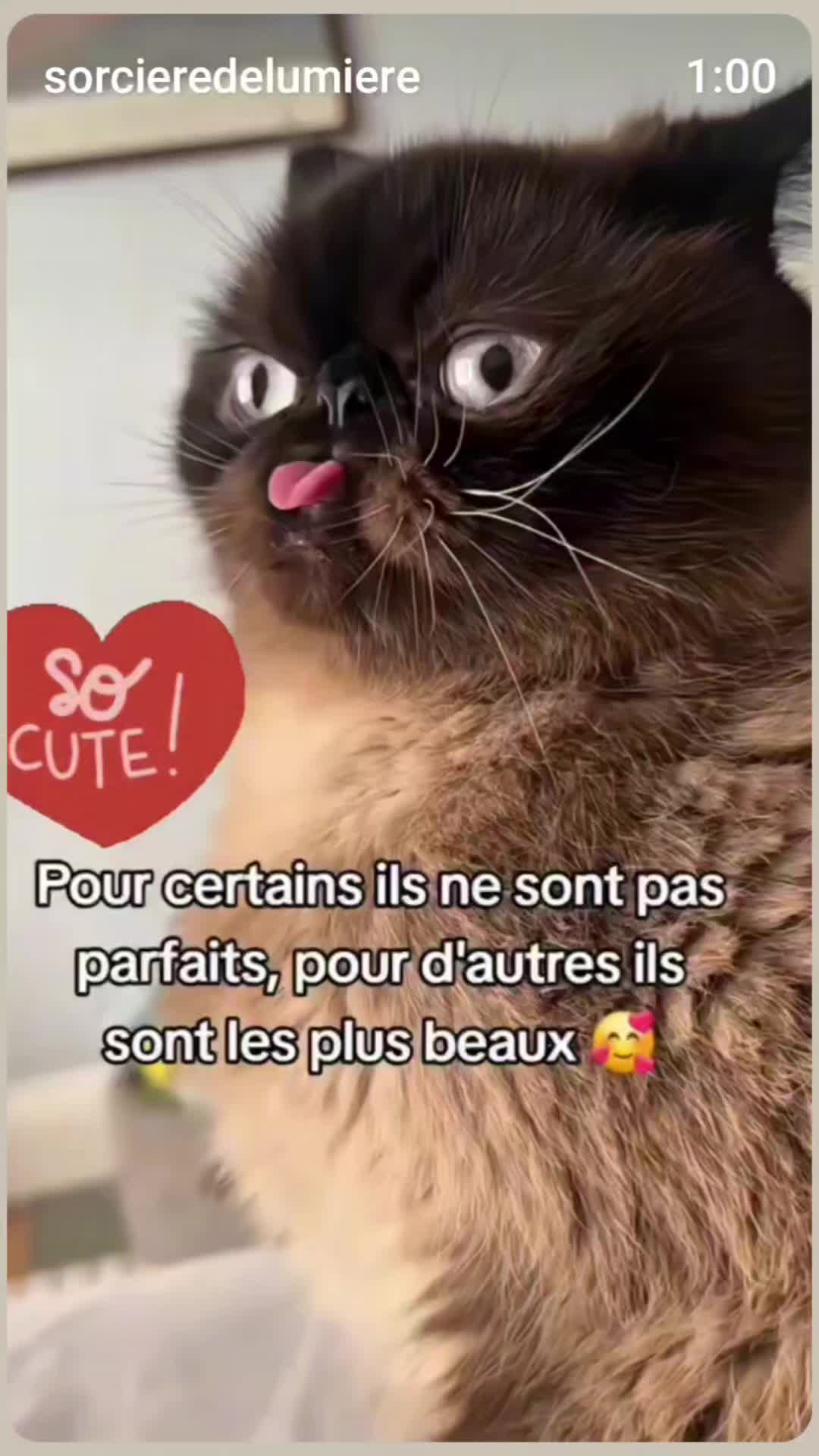@Lauret Denise ✨🐉✨