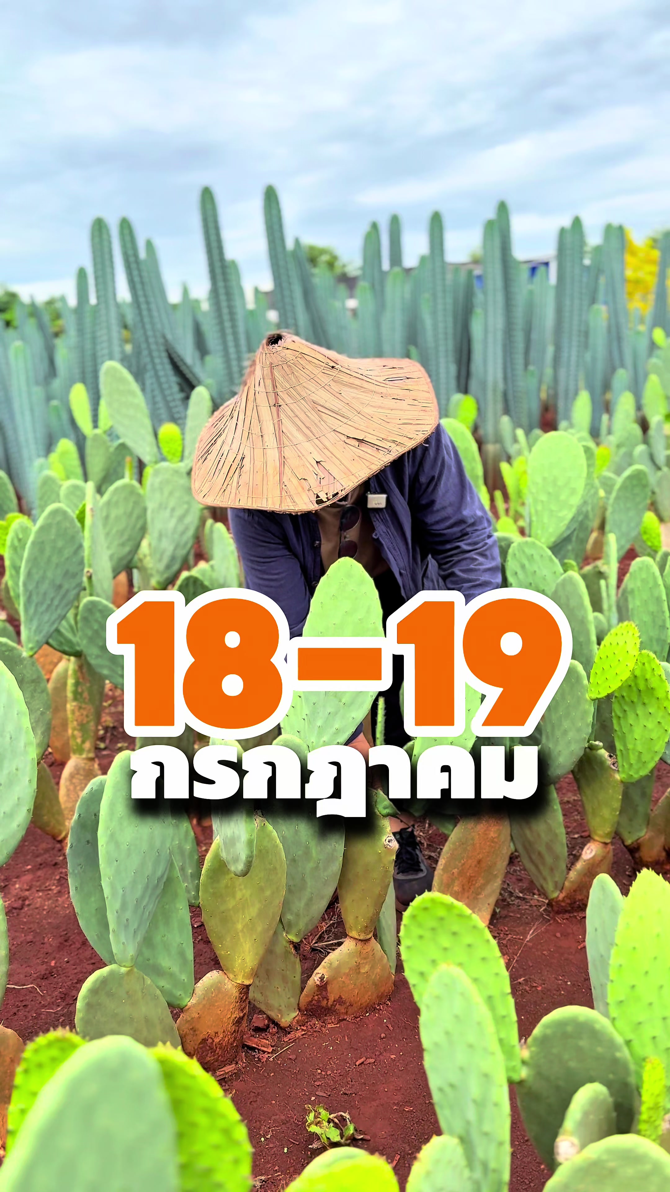 @ไร่วันยังขำ Oneyoungkham farm
