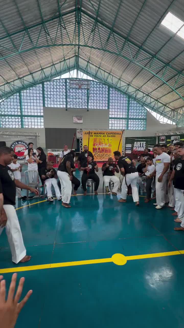 @so_capoeira