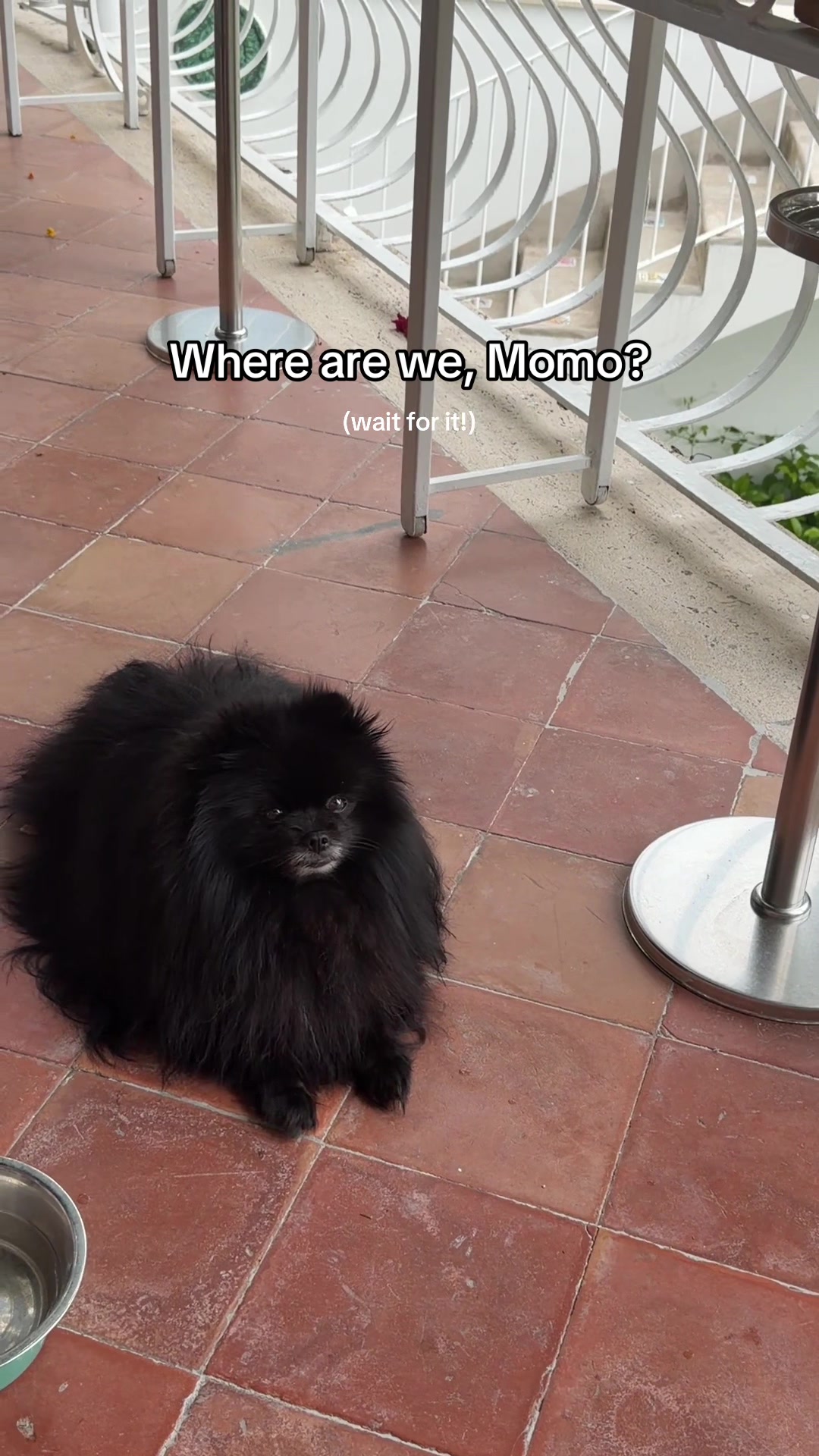 @mimi & momo