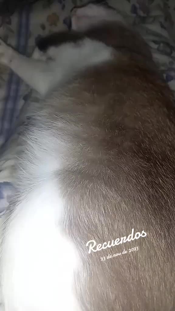 @Maria_87