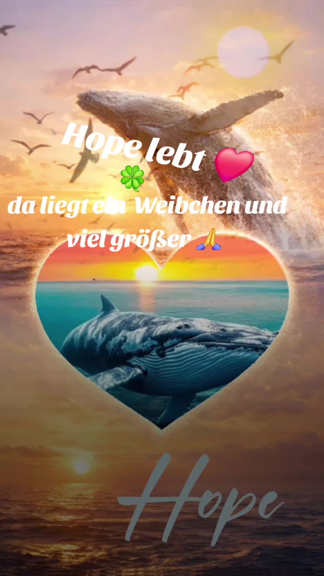 @Micha