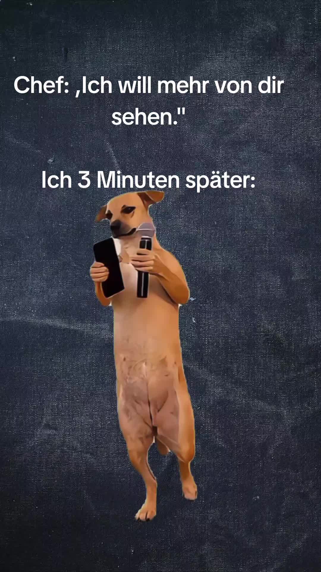 @gino