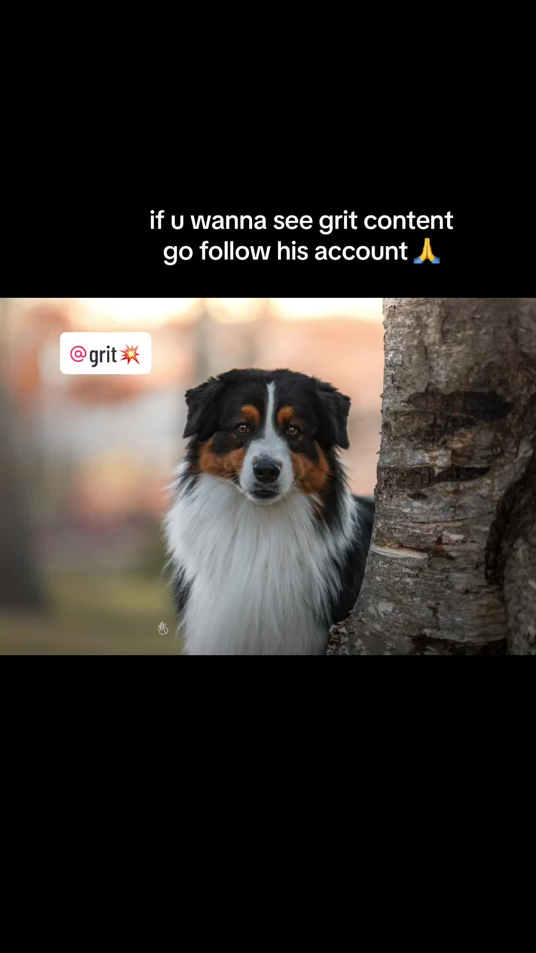 @Lexie 🌟