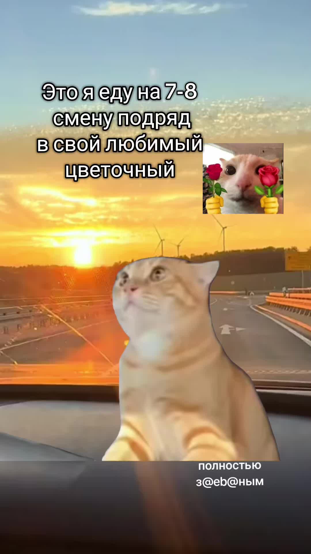 @~Ханни~