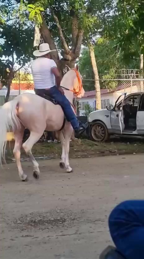 @caballero.R