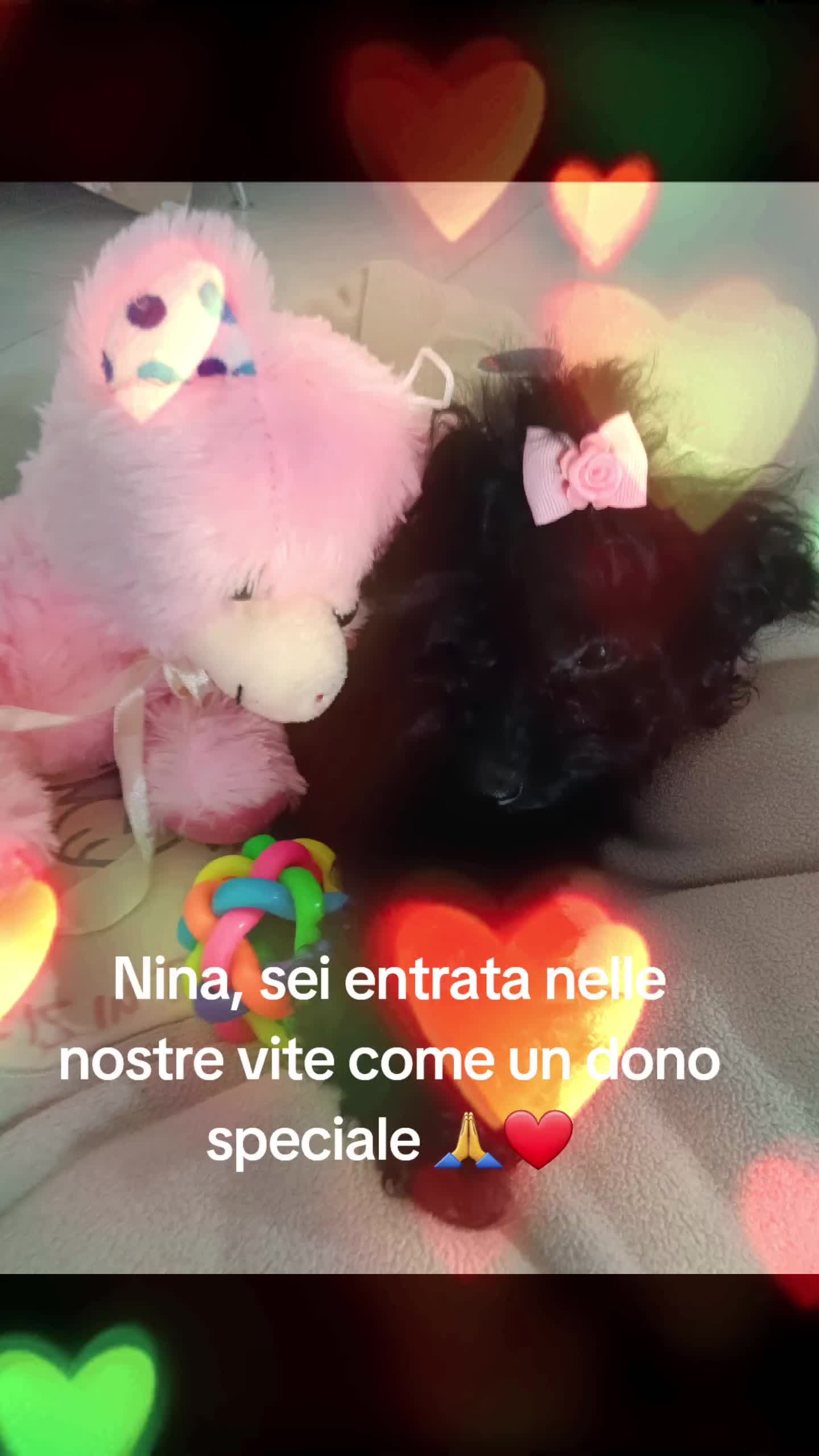 @🌟AURI🌟