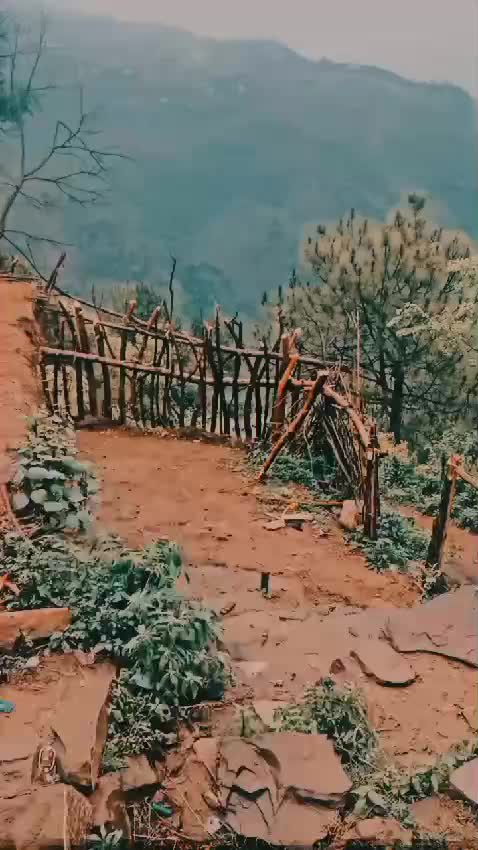 @haniyaabbasi
