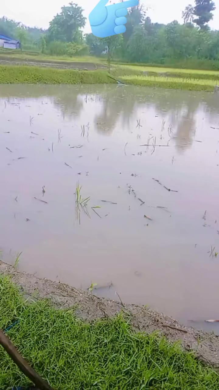 @Smita rai