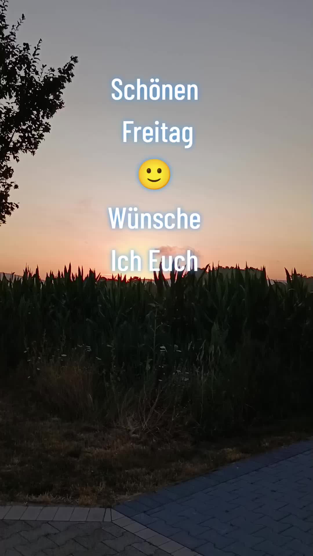 @44OLA4