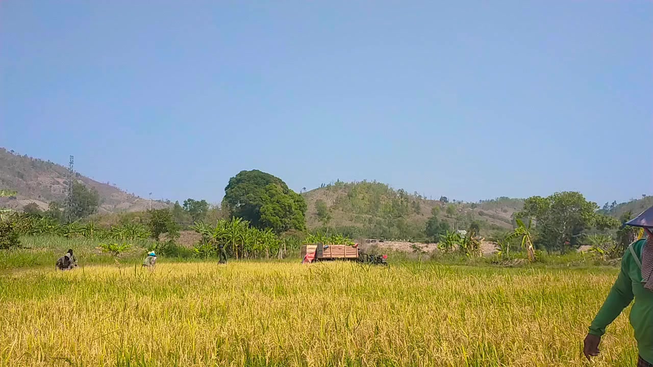 @Đ𝓾𝓲𝓁🎀✝⛪