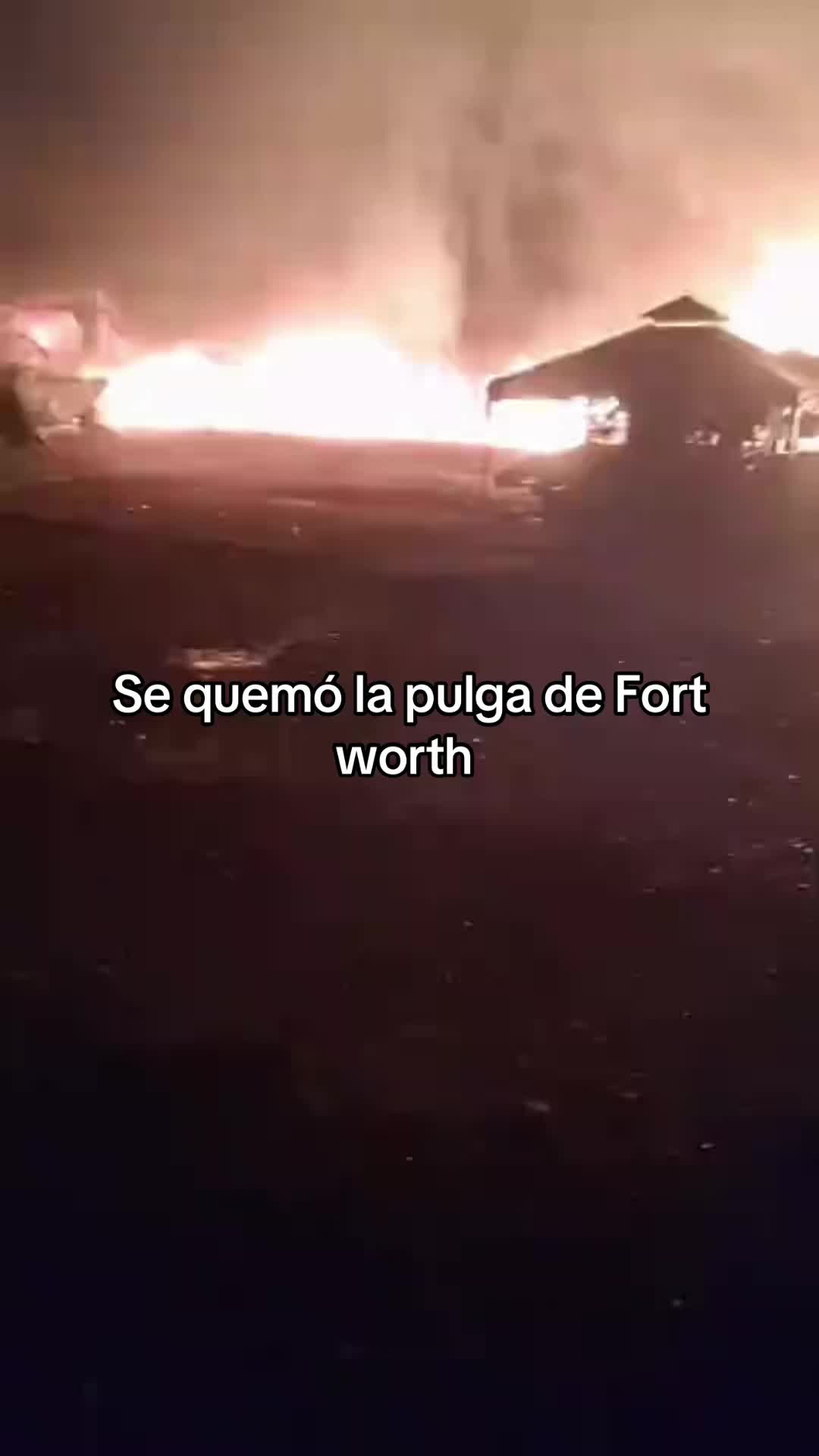 @Pulga de Fort Worth
