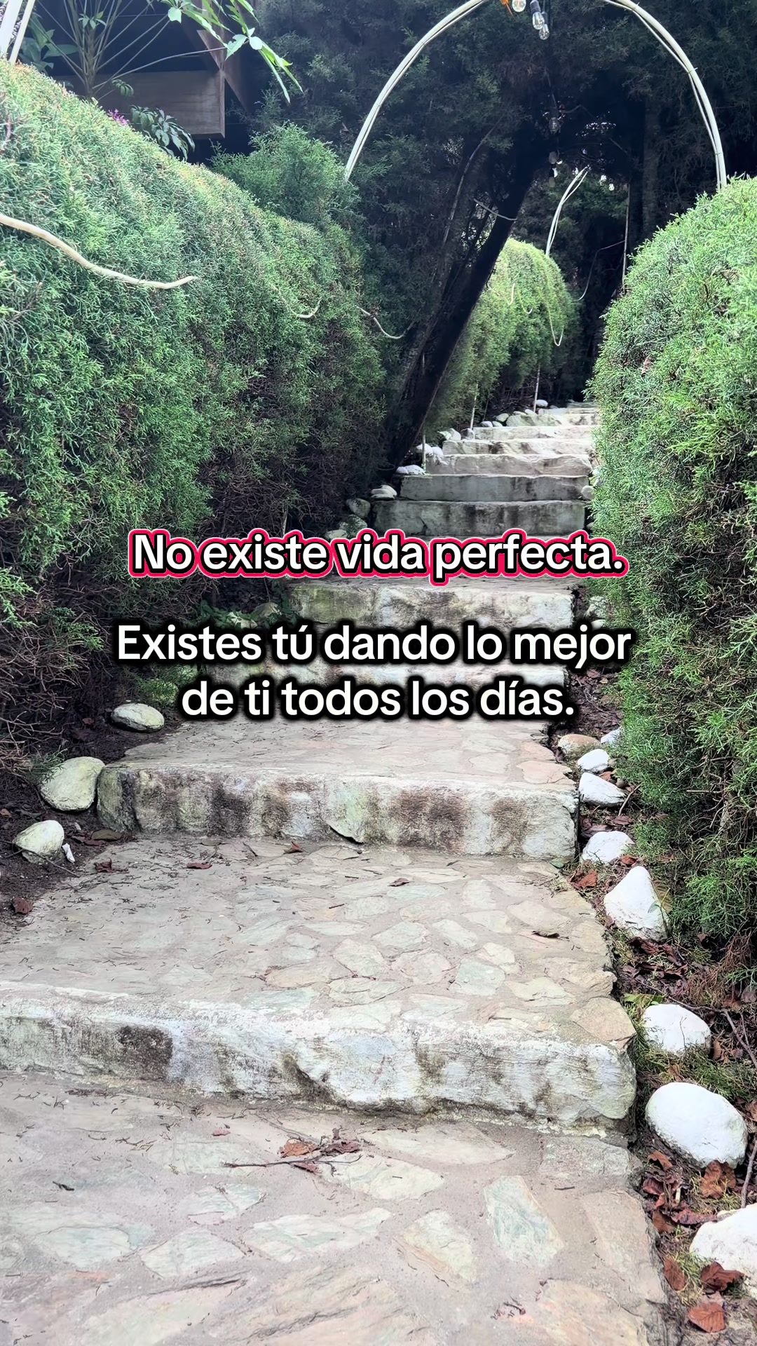 @Yovani Aguilar