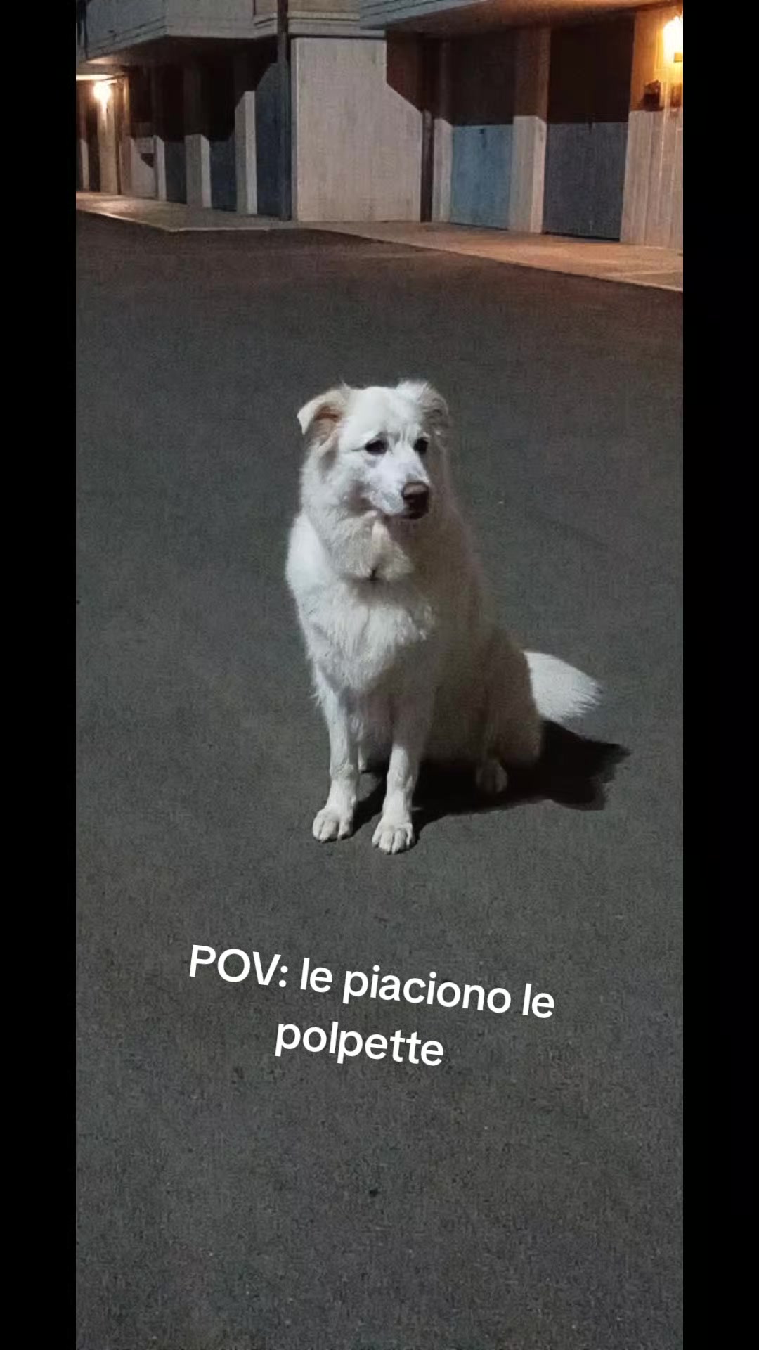 @bianca belpiede la maremmana