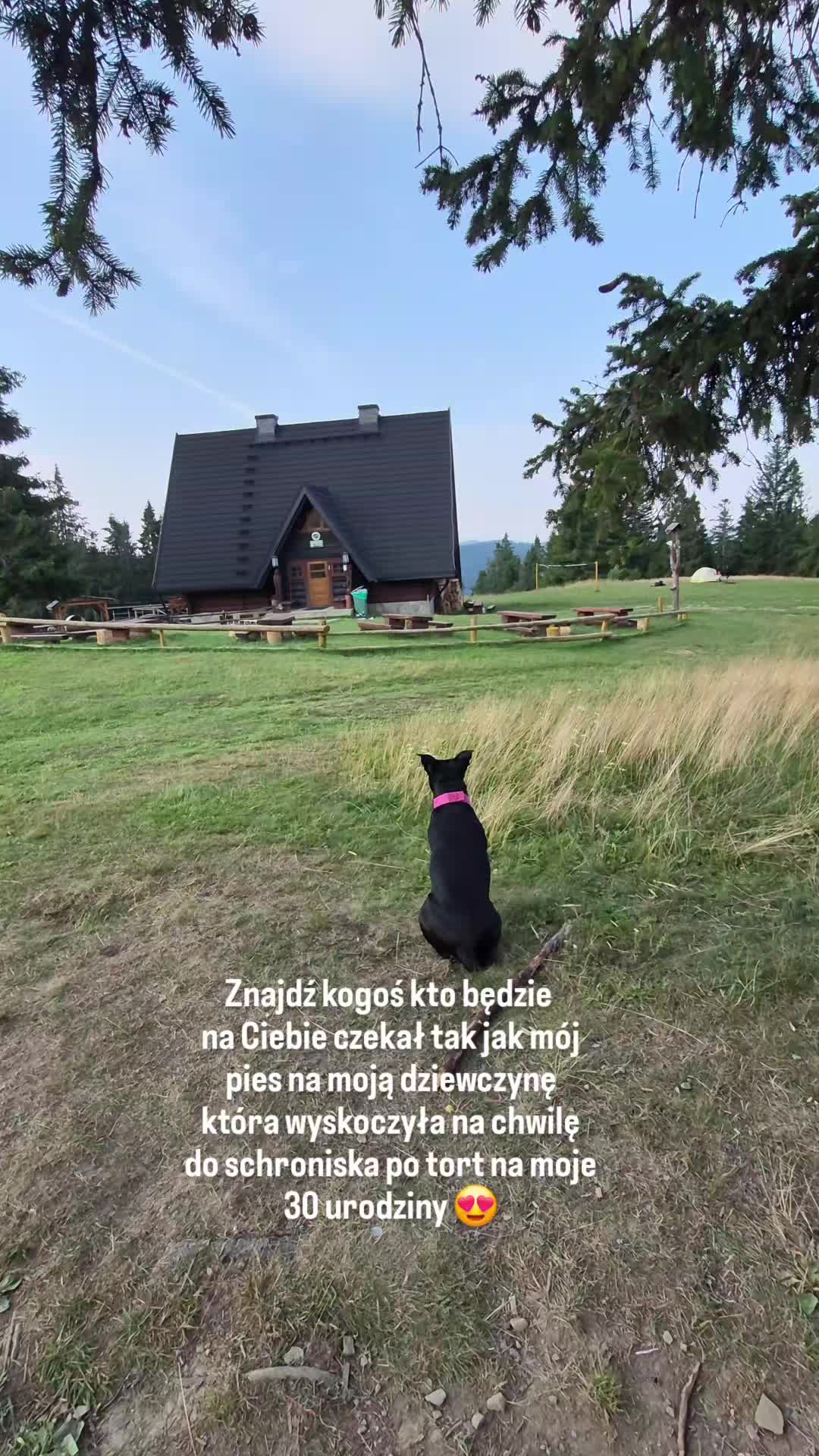 @przyBULLski