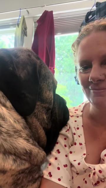 @BrindleBearTheMastiff