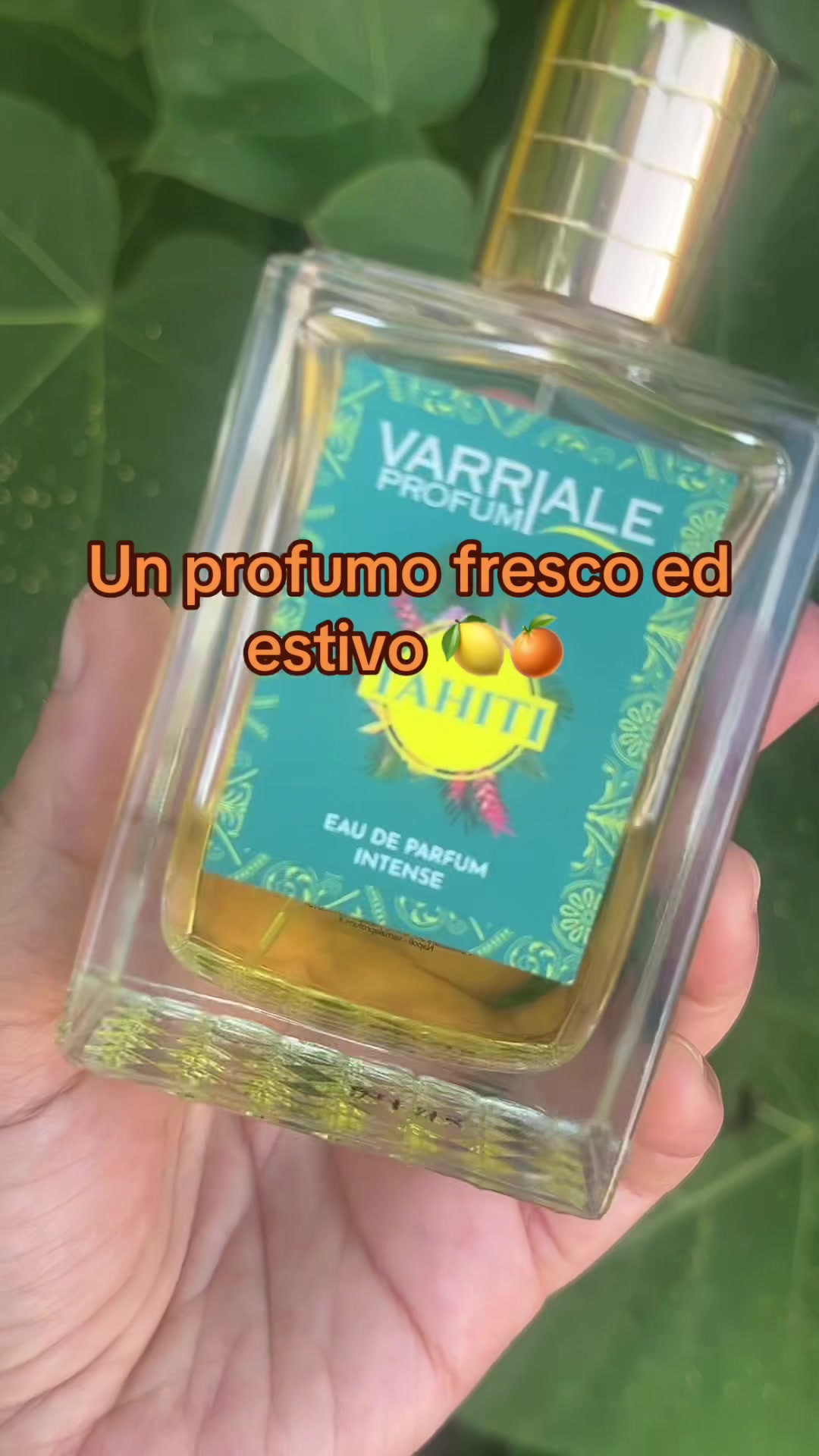 @🌺Martina Gentili 🌺