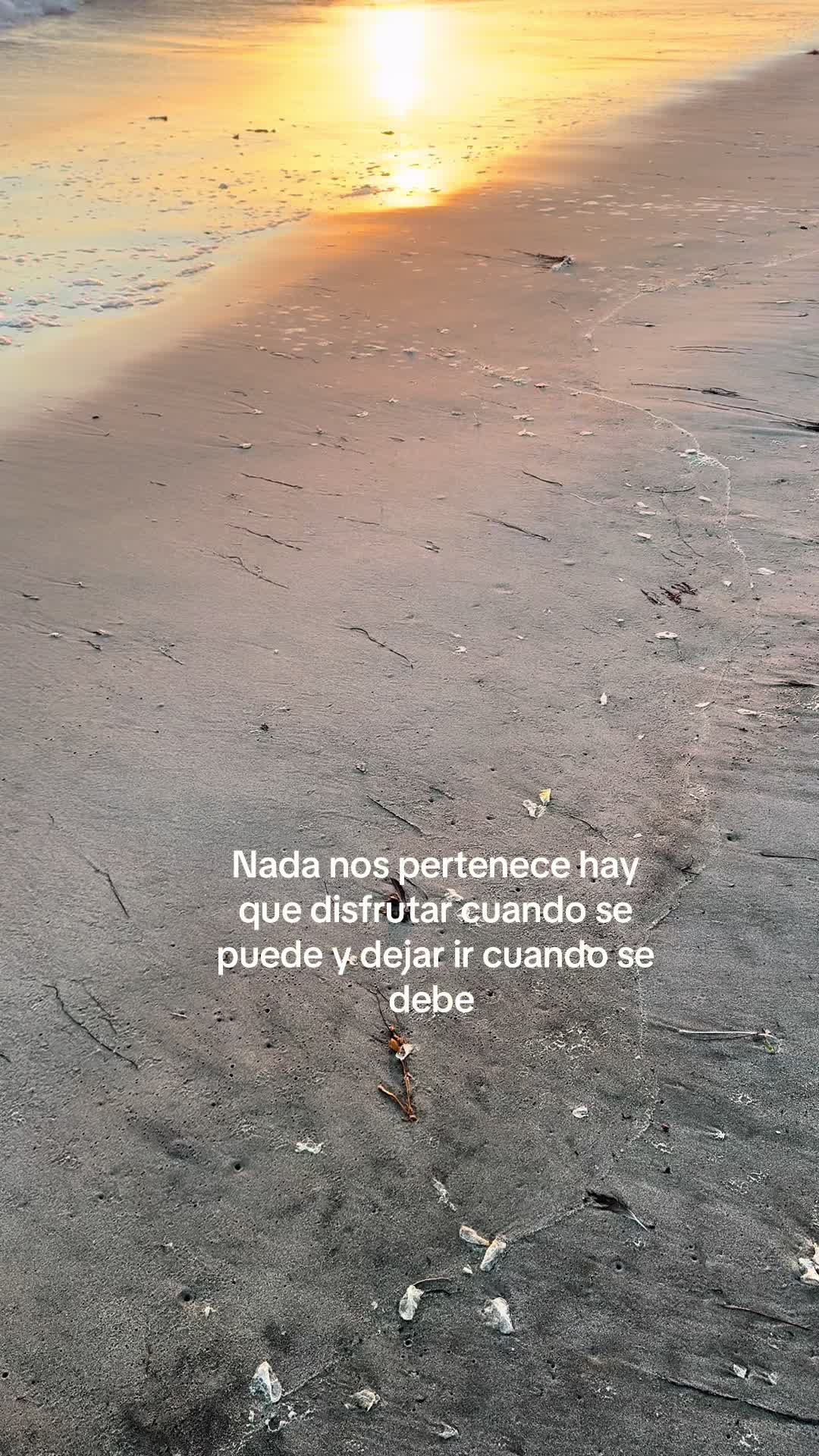 @Amalia Castro