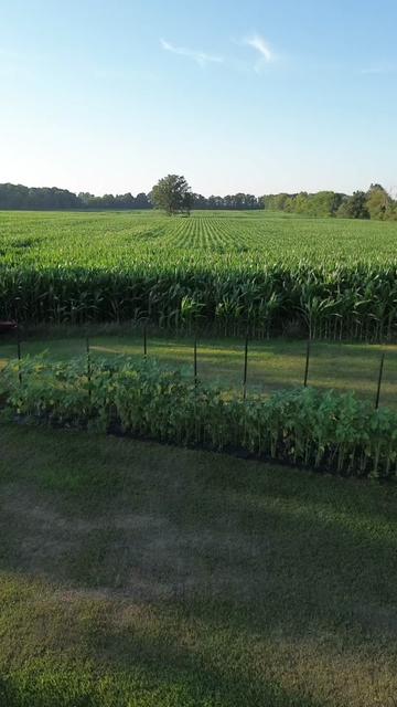 @Artistic gardening