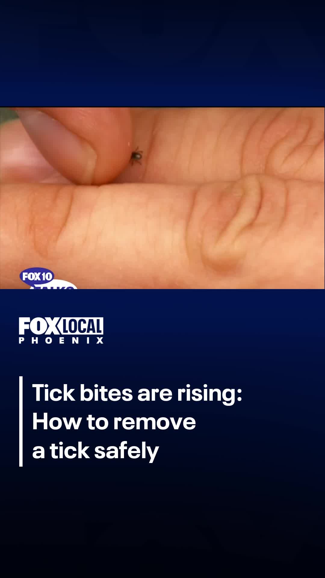 @FOX 10 Phoenix