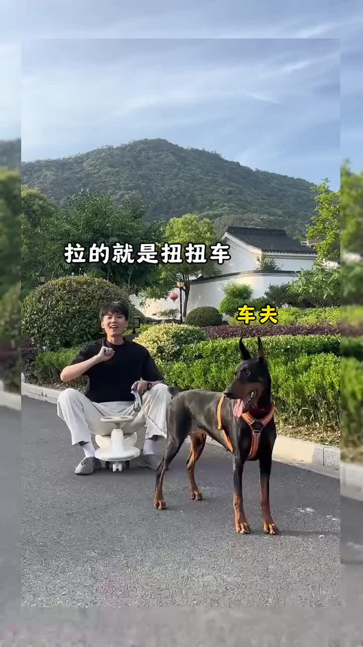 @mame3627