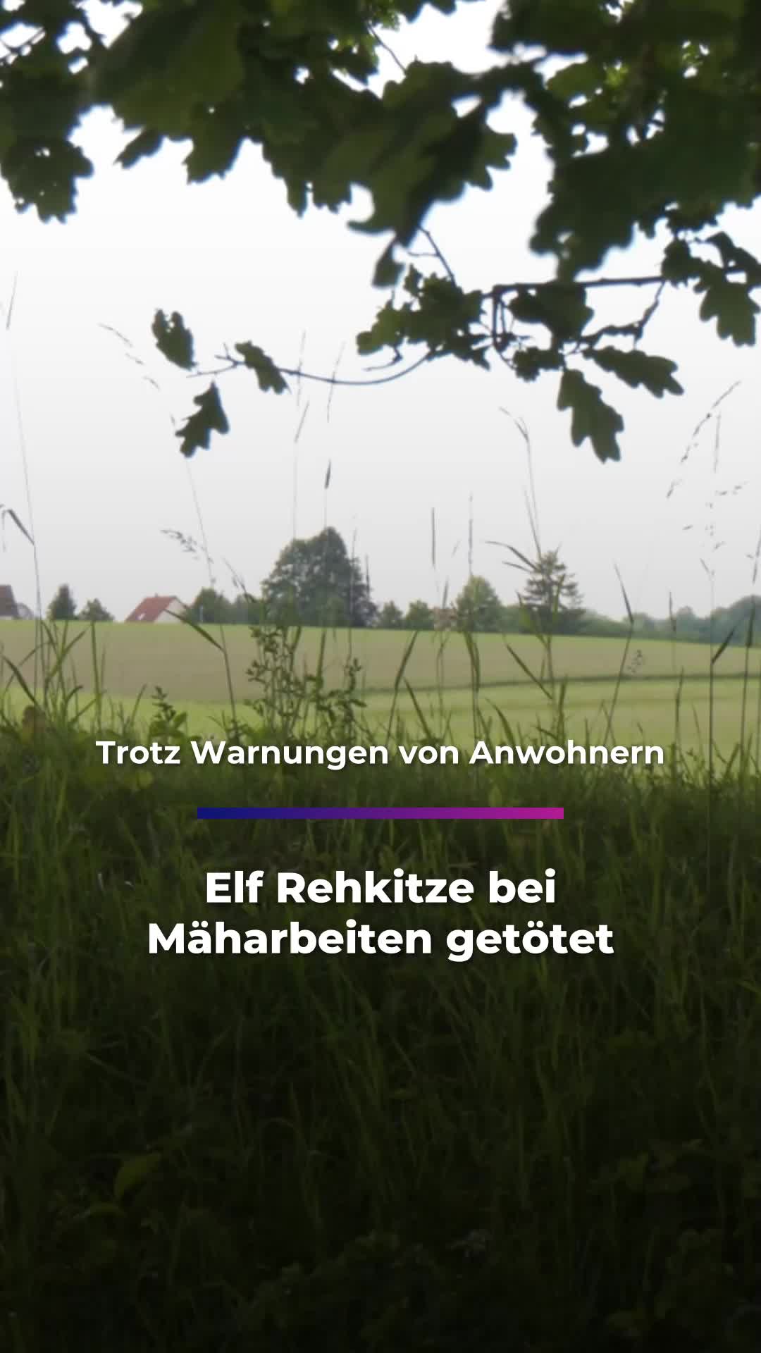 @Sachsen Fernsehen