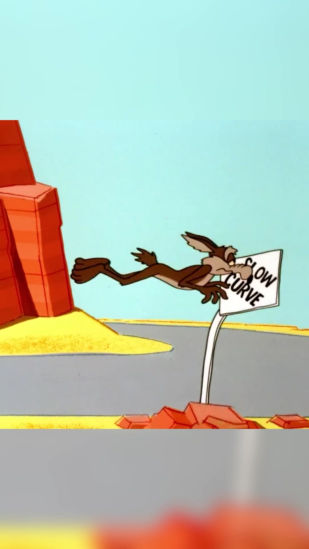 @Looney Tunes