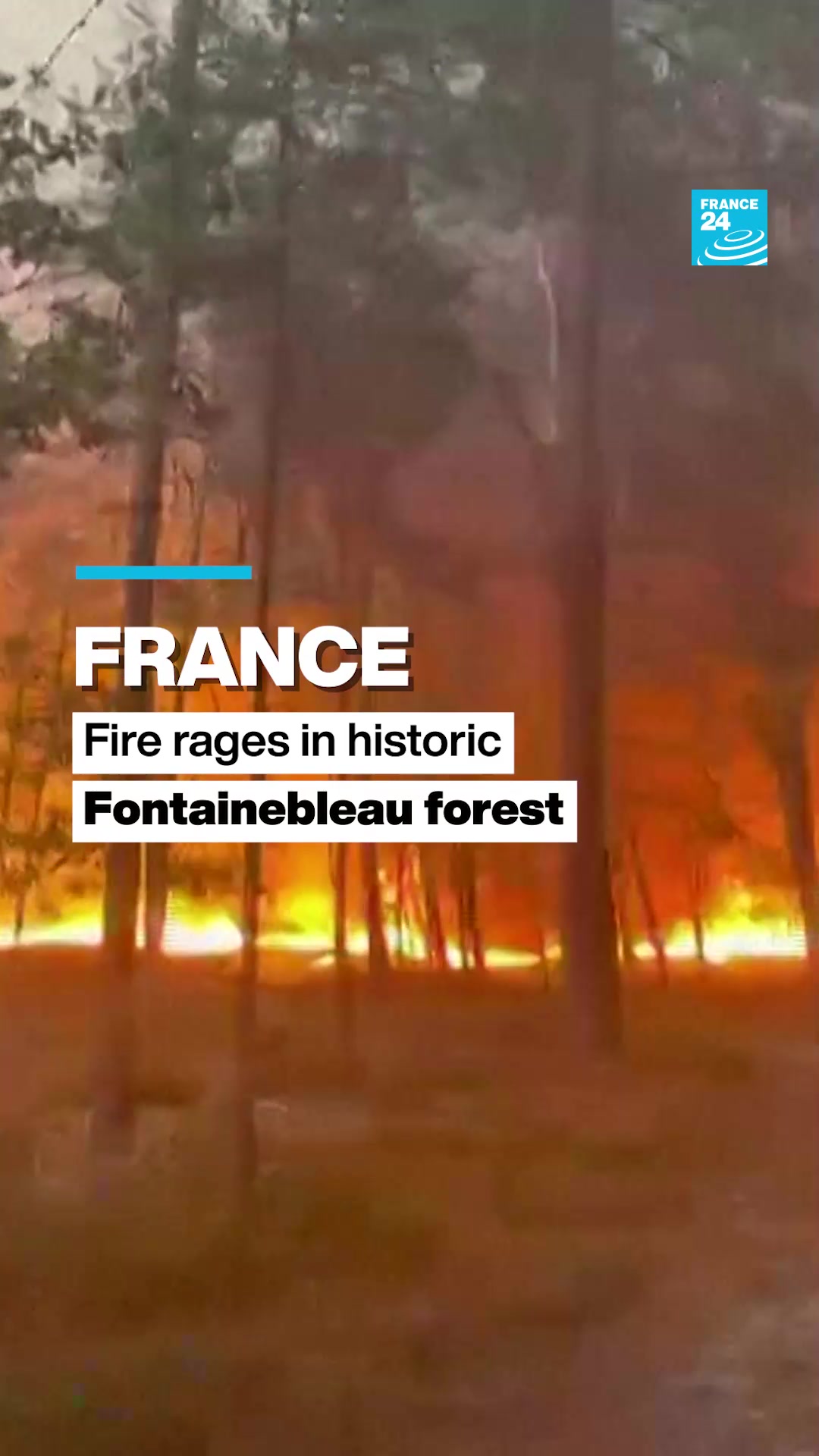 @FRANCE 24 English
