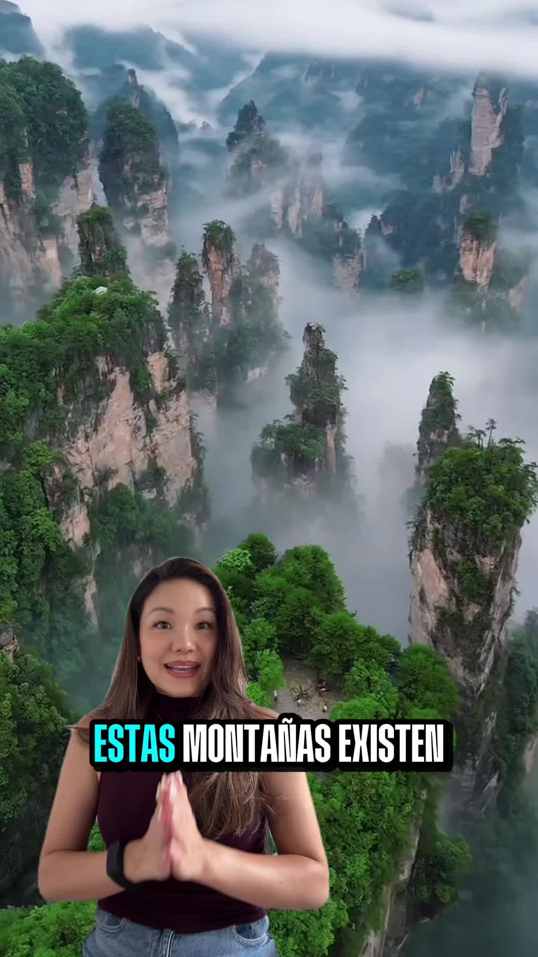@alicia.chinifycn