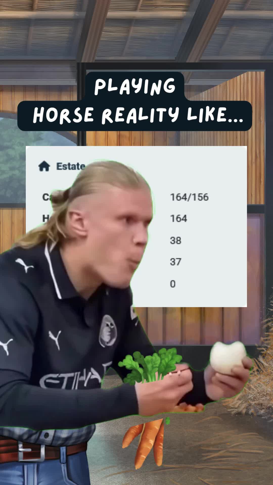 @Horse Reality