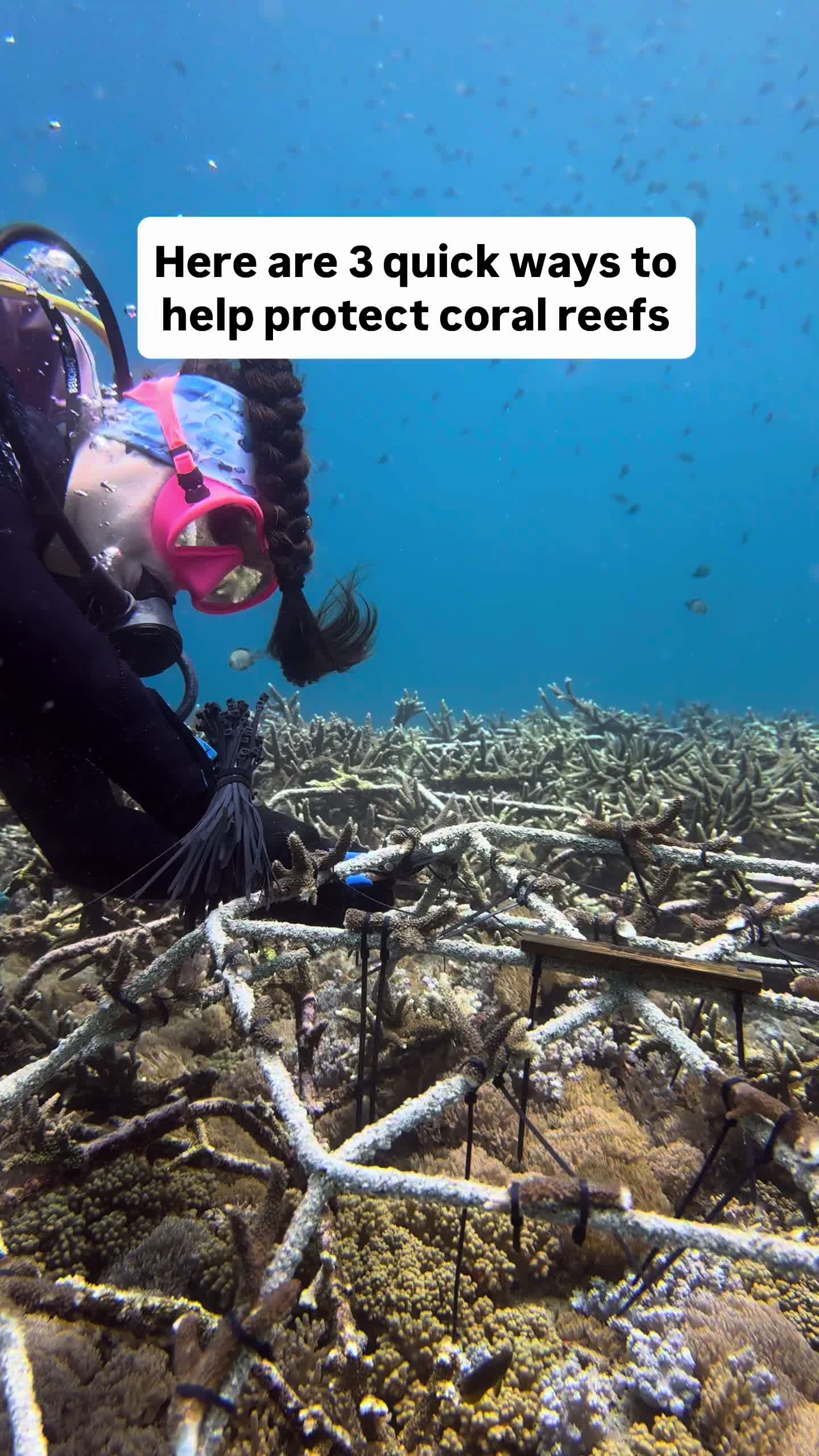 @The Dive Compass