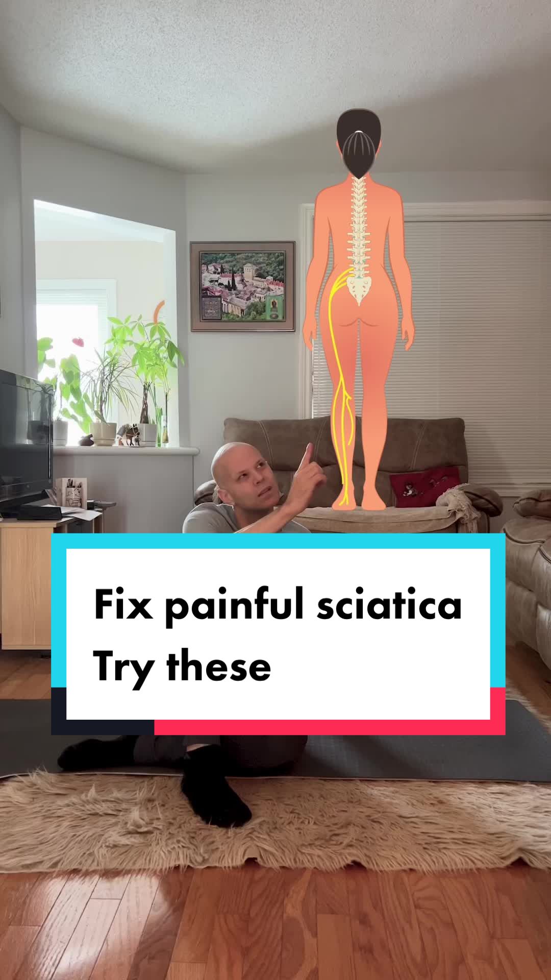 @Dr. Nick Necak, DC, CCSP