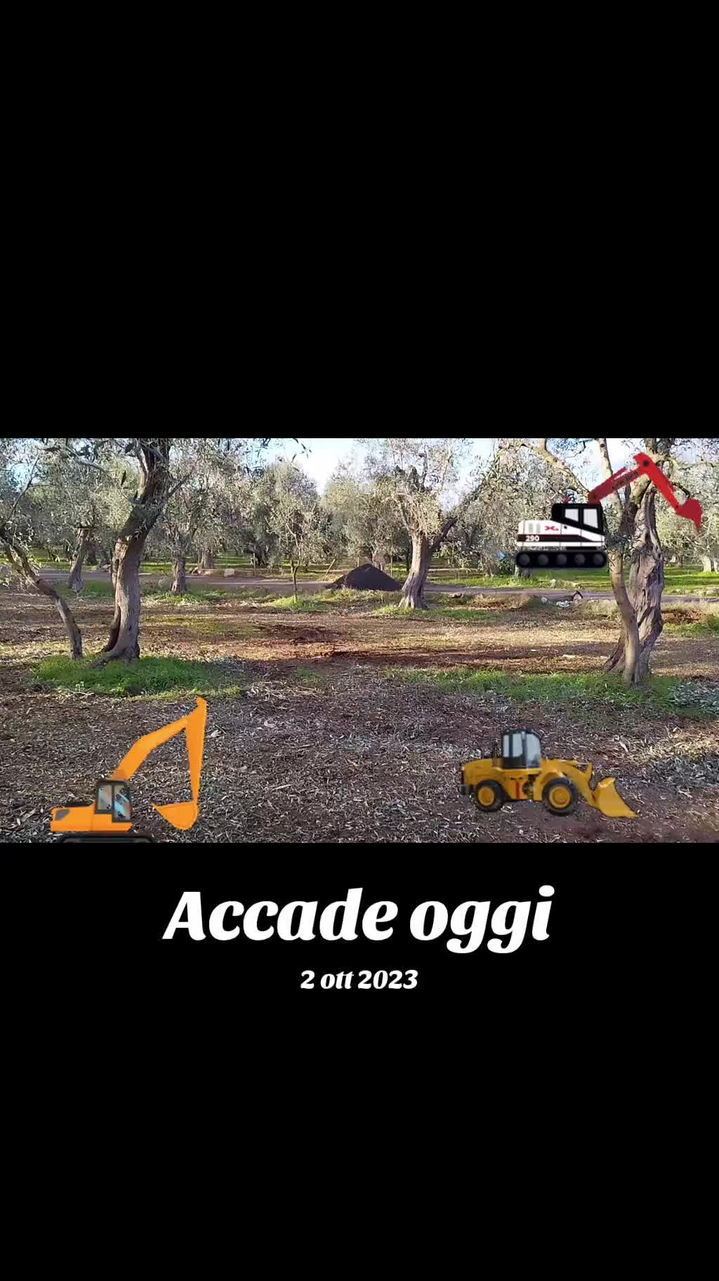 @Gaetano D.