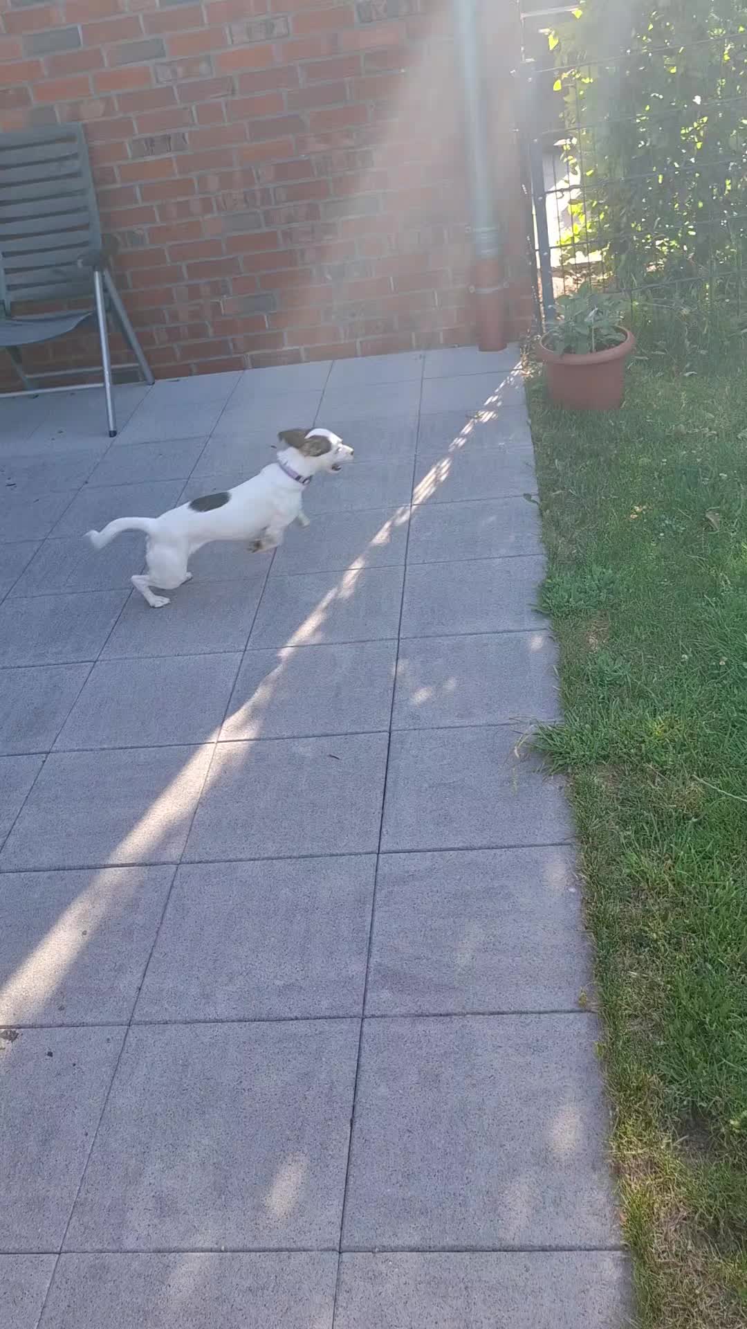 @Maya'sAbenteuer_HexeErinnerung