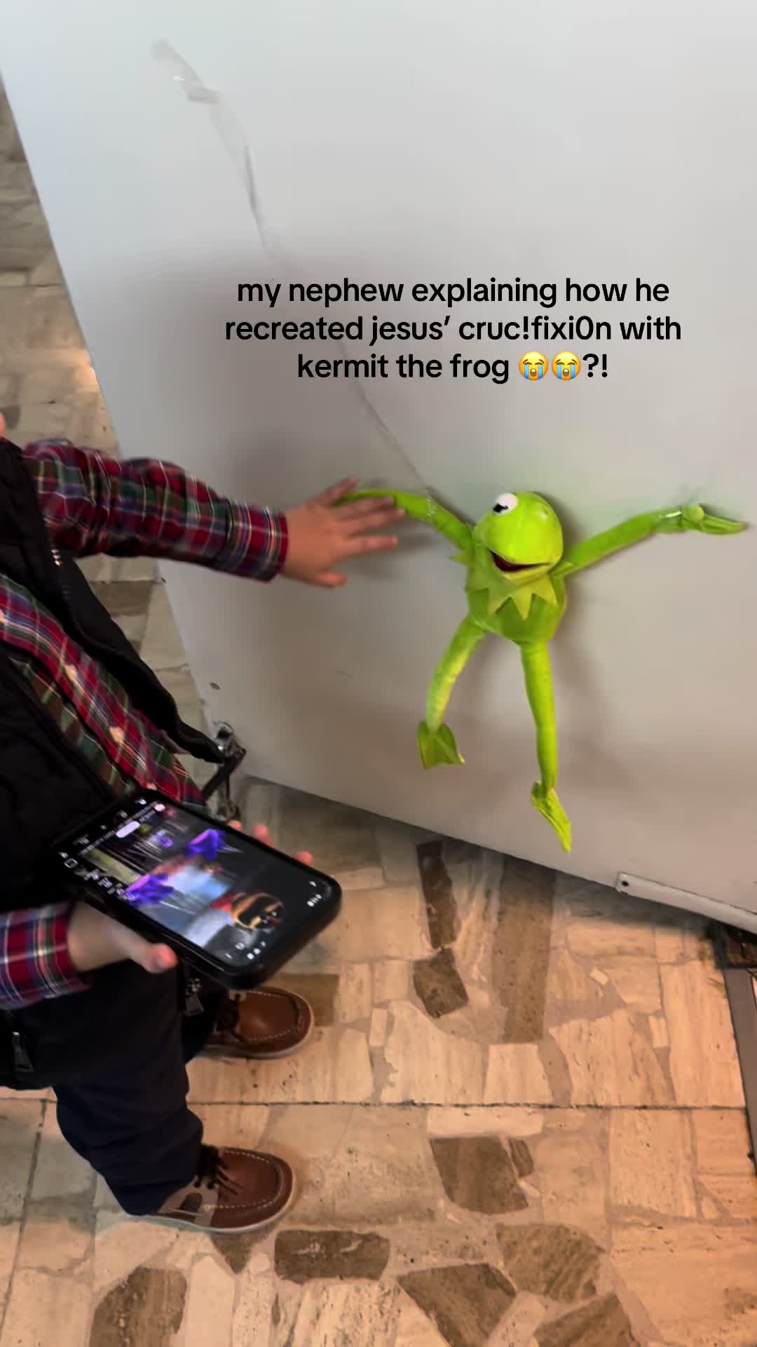 @ed 🪼