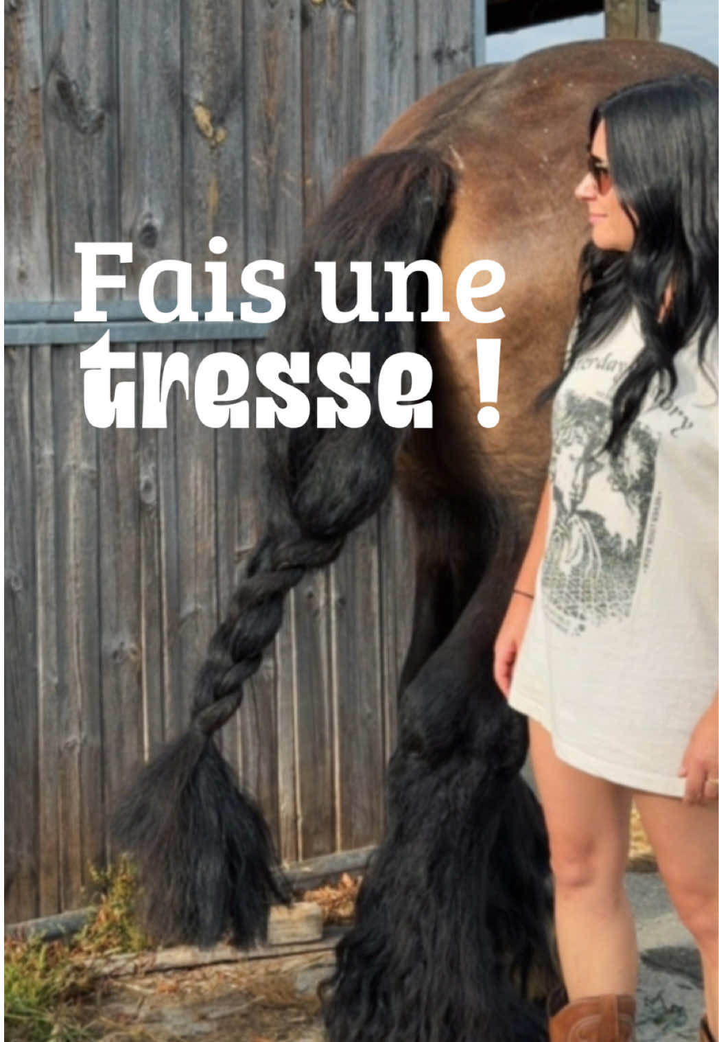 @Untraitdecheval