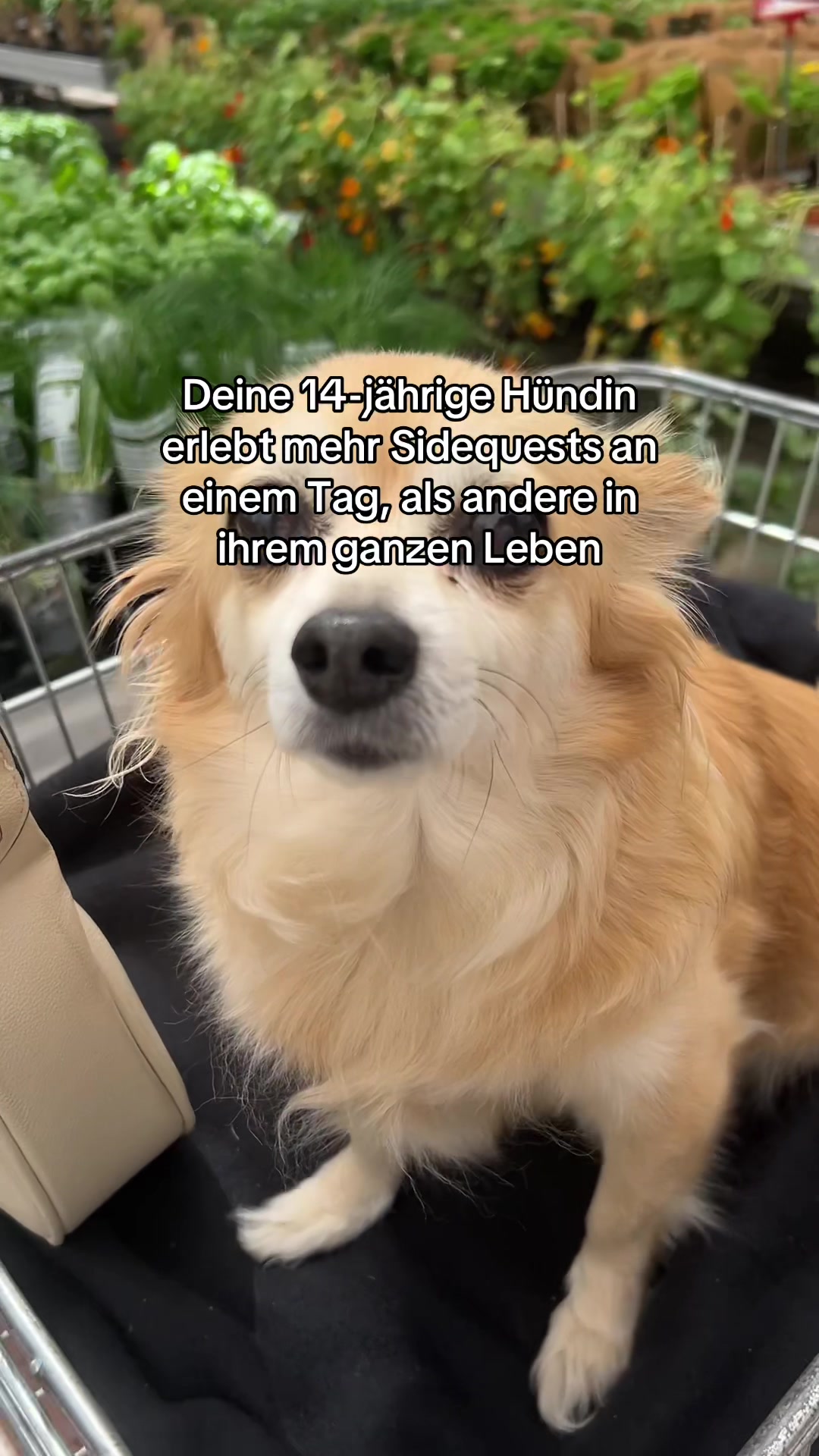 @lilly 🇵🇱🇩🇪