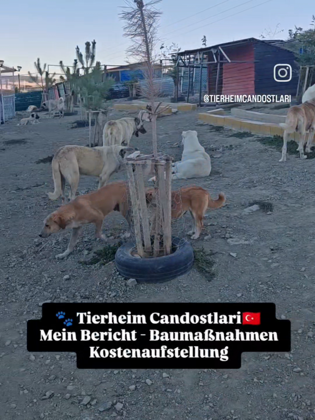 @TSV Candostlari-Beste Freunde