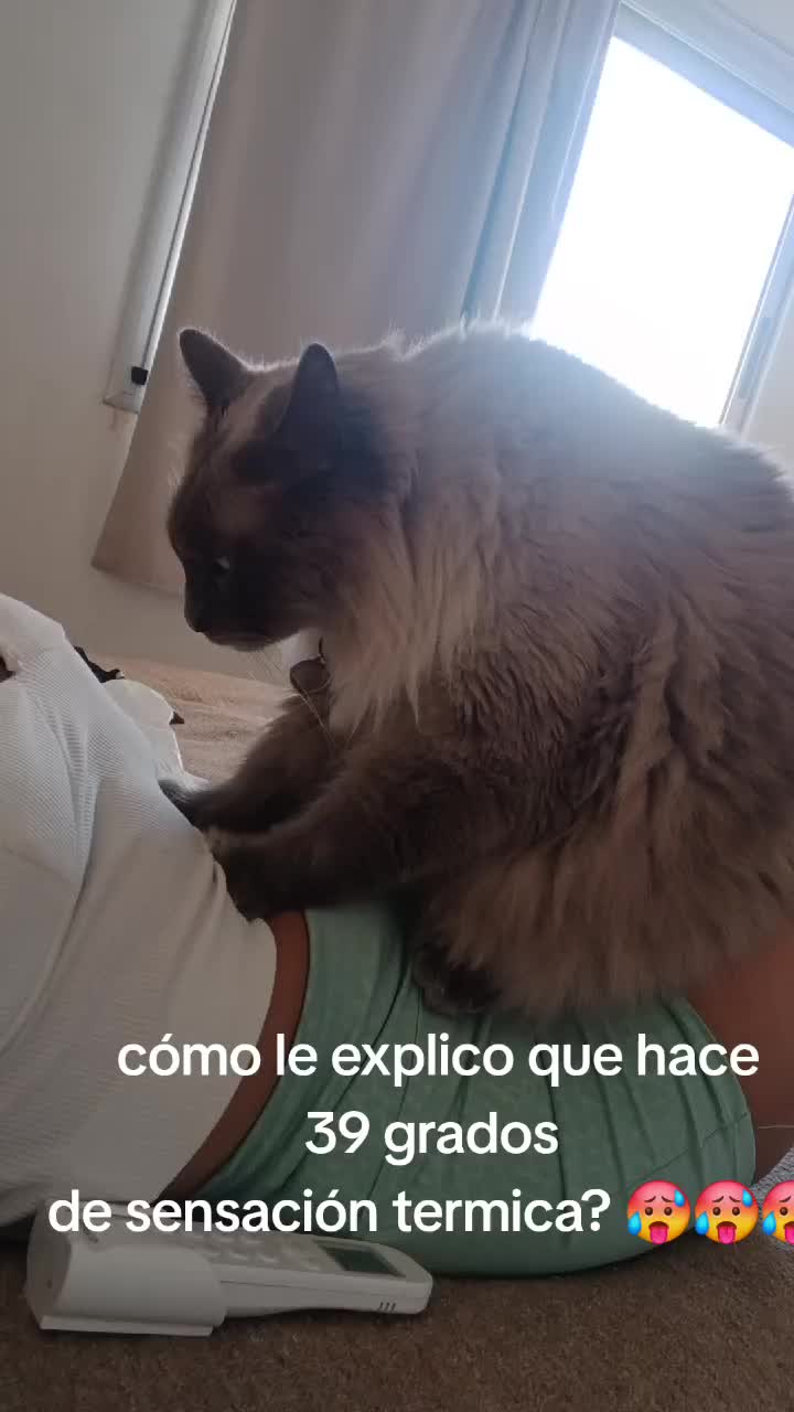 @P I N T