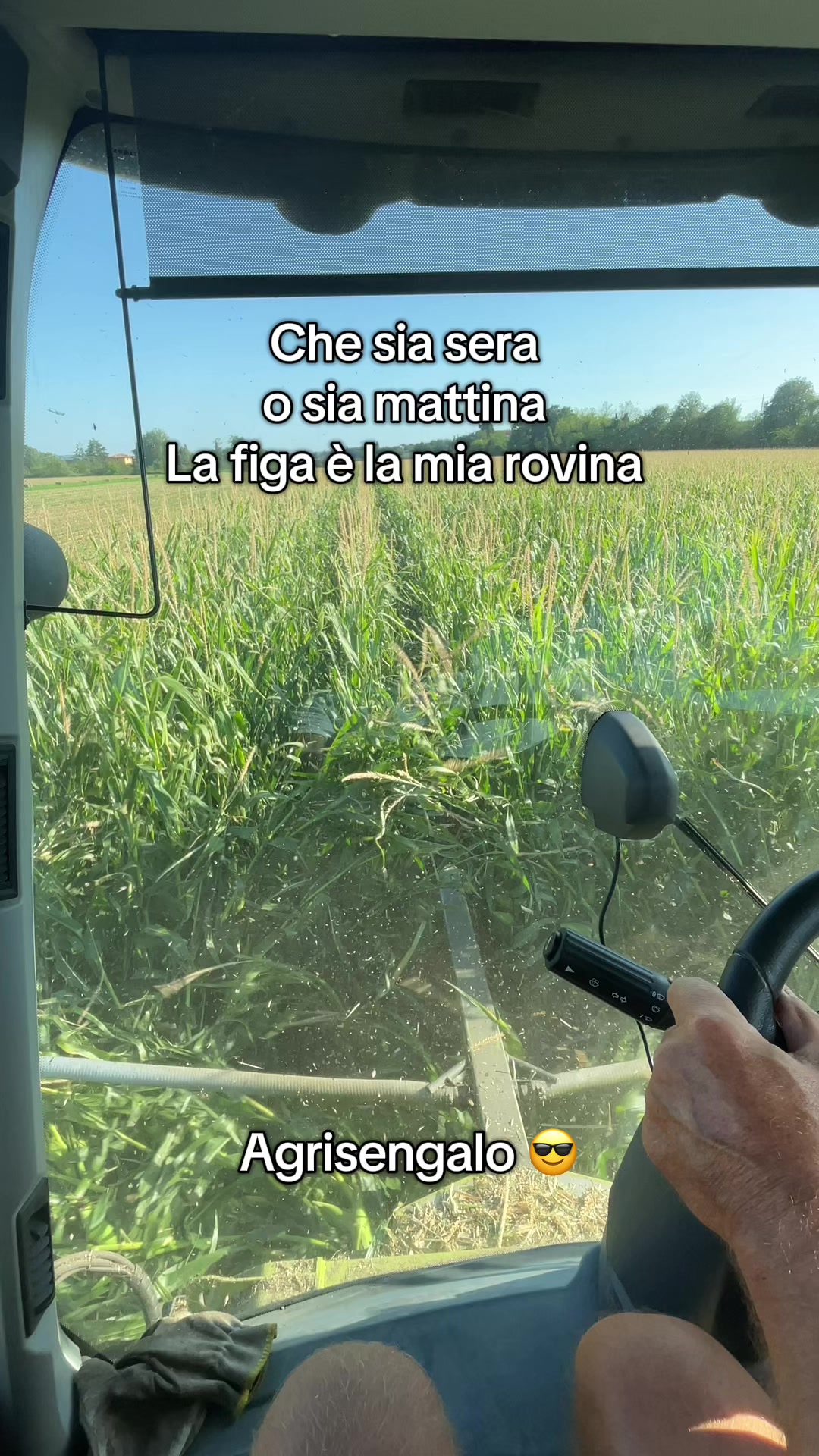 @Agrisengalo😎