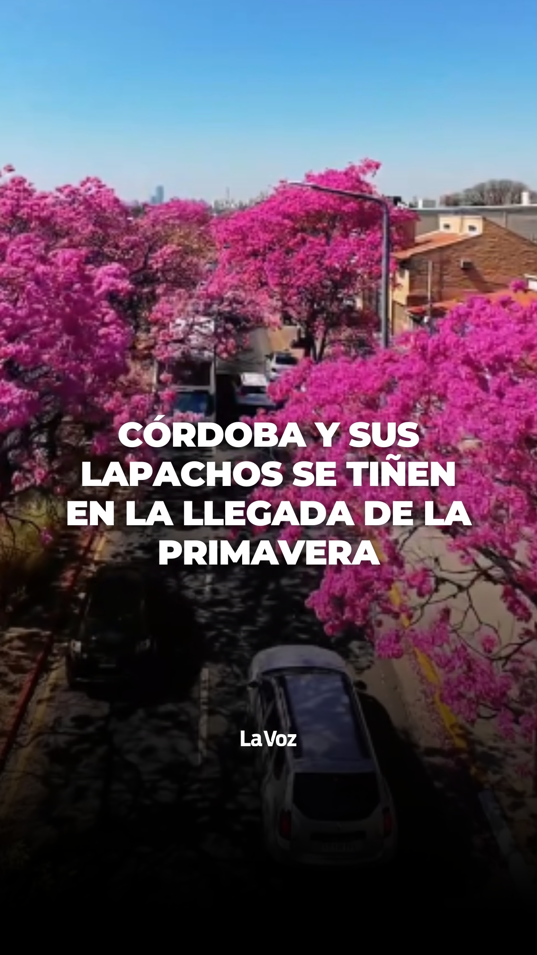 @lavozcomar