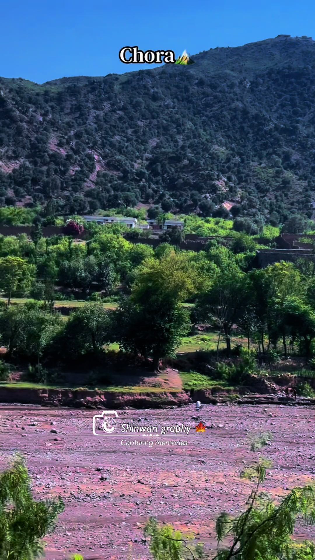 @Shinwari Graphy
