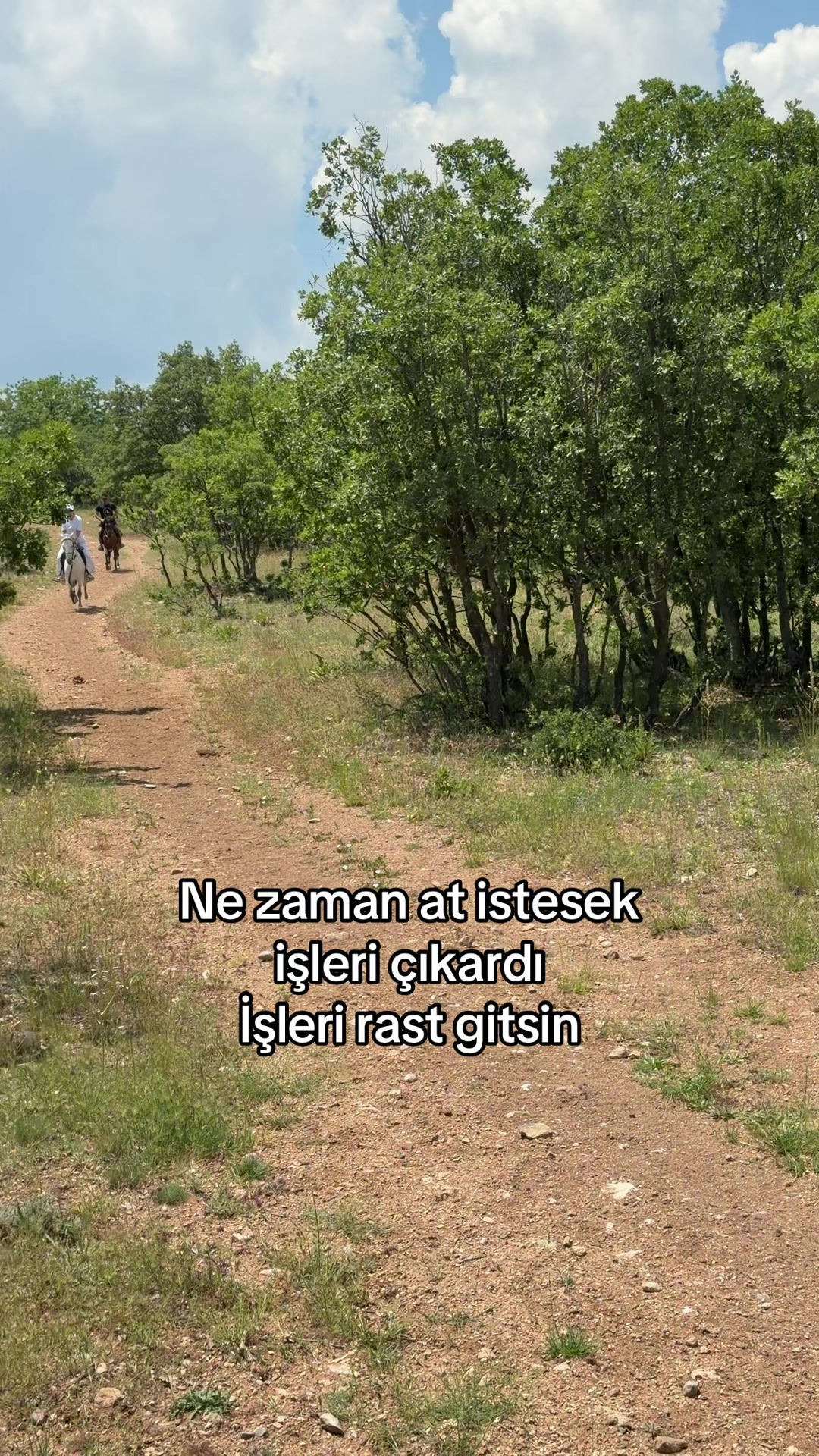 @&Ouml;zge Can