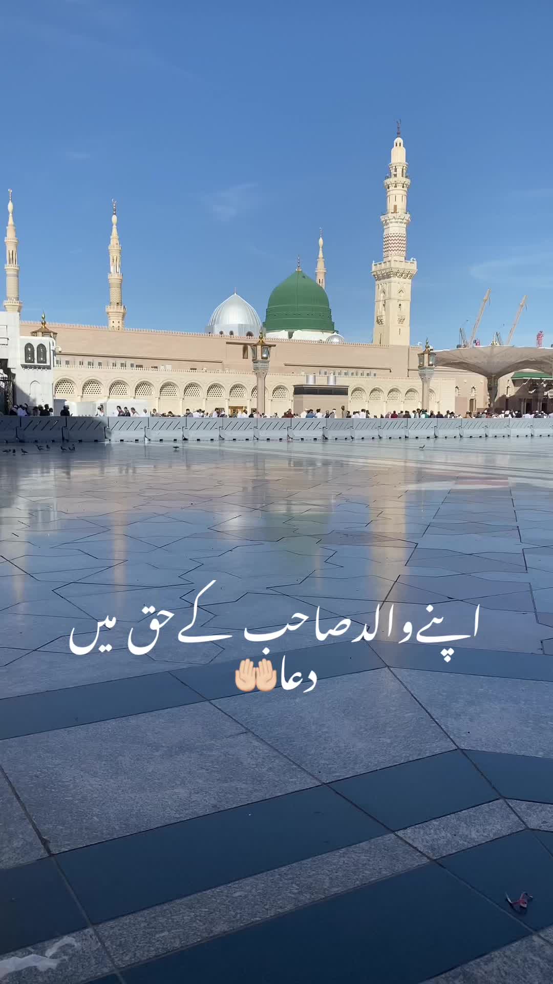 @Malik S