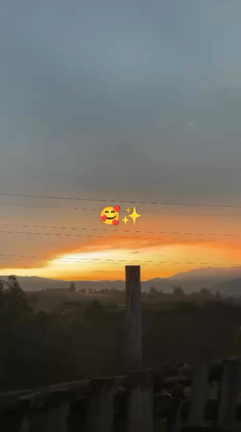 @🌻⚡♌