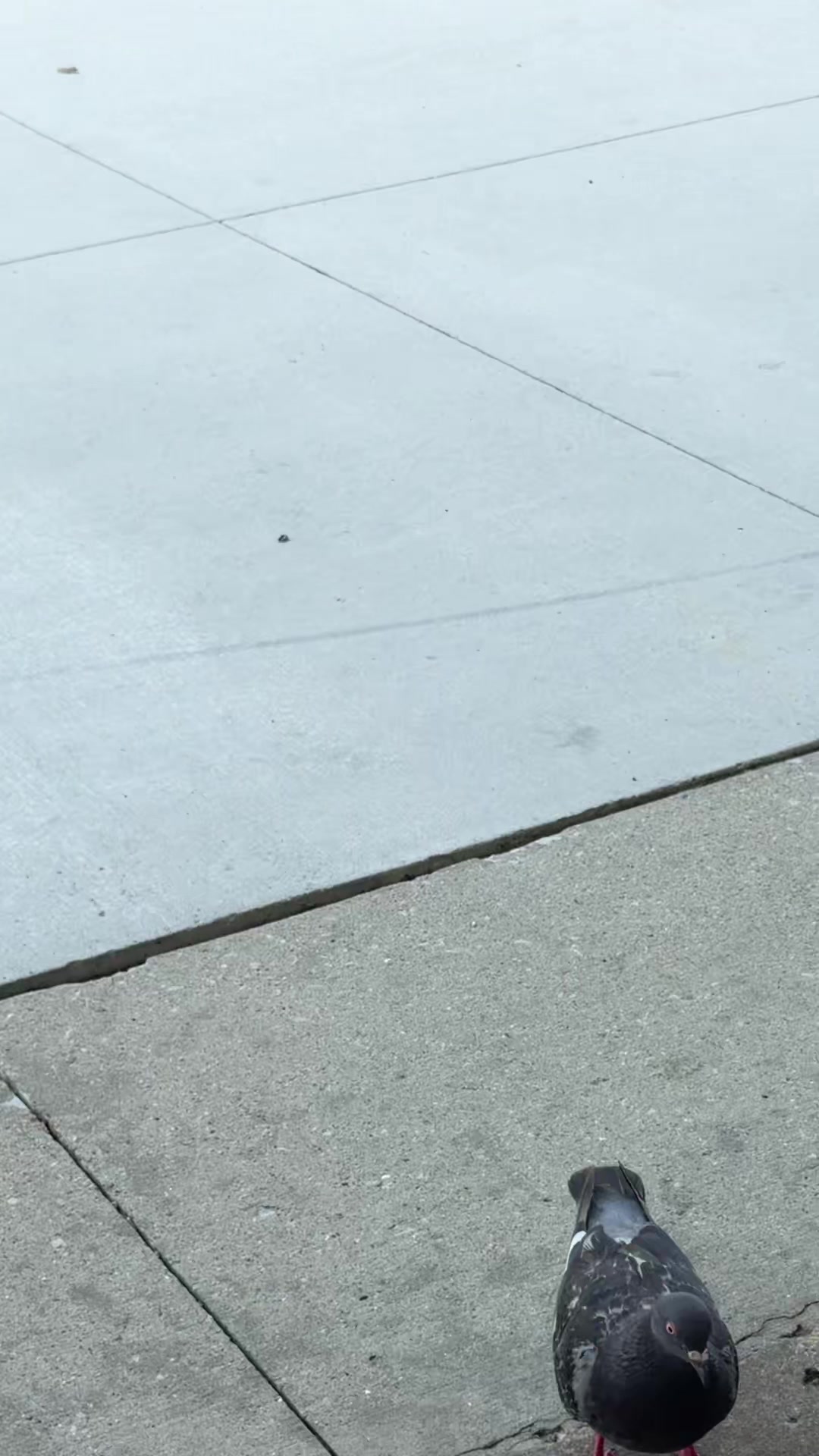 @stinkabutth
