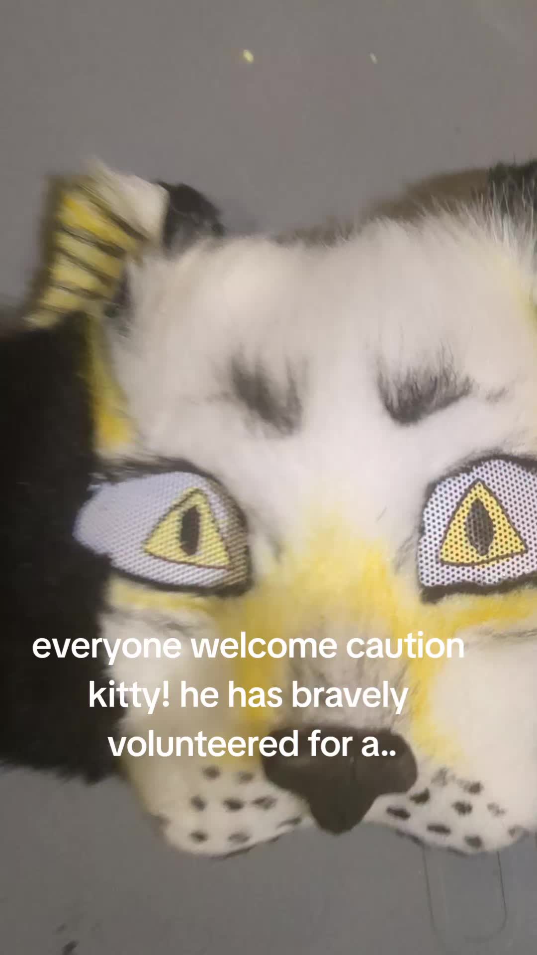@MAX300