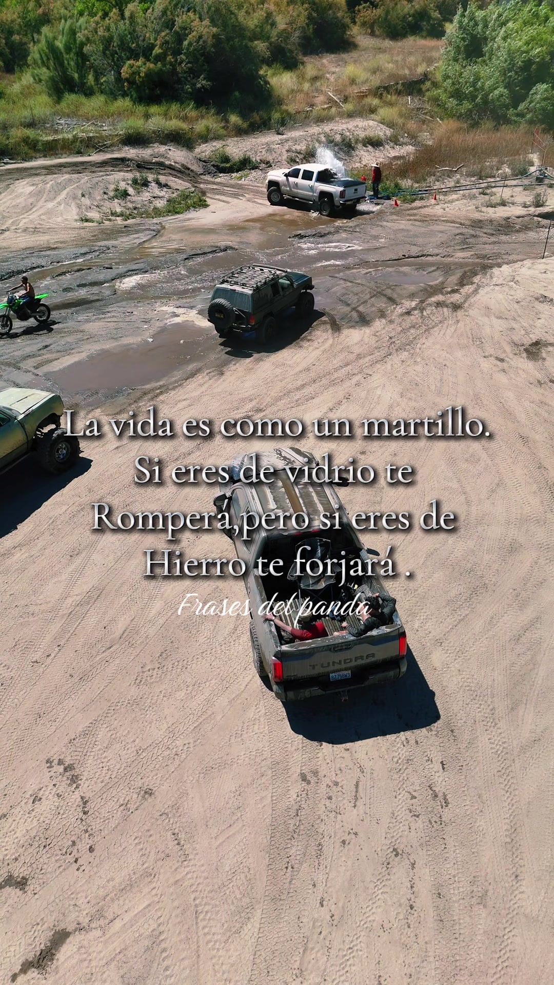 @frases del panda 🥷🏽